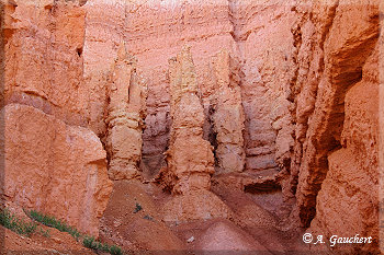 Der Beginn von Hoodoos